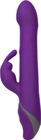 Commotion Rhumba, Purple
